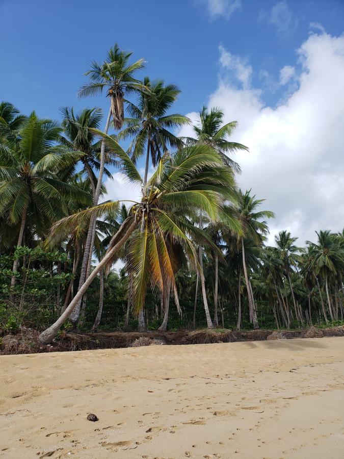 Las Terrenas, La Fenice, Playa Popy Eksteriør bilde